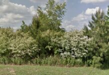 Attorney asks for continuance on multifamily dwelling request