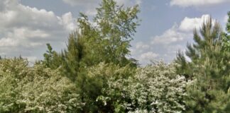 Attorney asks for continuance on multifamily dwelling request