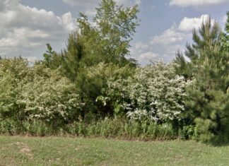 Attorney asks for continuance on multifamily dwelling request