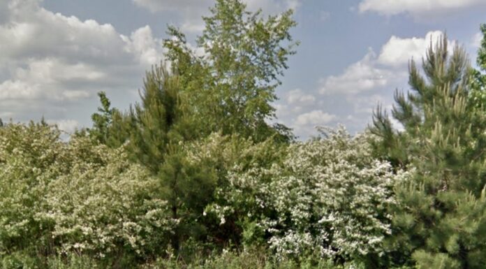 Attorney asks for continuance on multifamily dwelling request