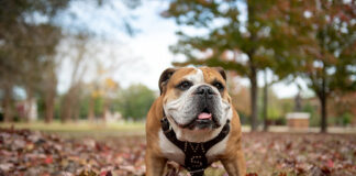 Local students named to Mississippi State University President’s, Dean’s Lists