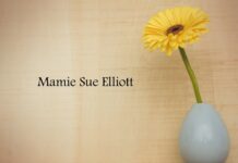 Obituary: Mamie Sue Elliott