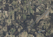 Albertville man killed in crash