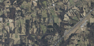 Albertville man killed in crash