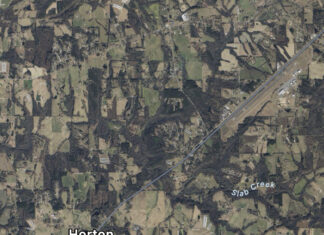 Albertville man killed in crash