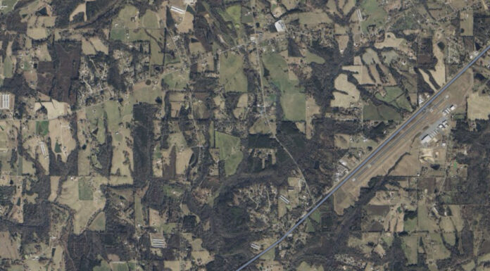 Albertville man killed in crash