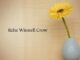 Obituary: Reba Winnell Crow