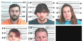 CCSO arrest roundup
