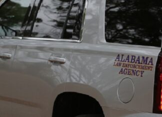 Nauvoo man killed in Cullman County crash