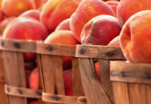 Alabama peaches in some uncertainty for 2023