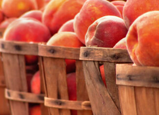 Alabama peaches in some uncertainty for 2023
