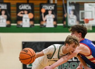 PREP BASKETBALL: No. 3 Holly Pond advances to area finals with 57-31 win over West End