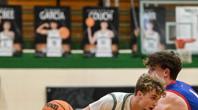 PREP BASKETBALL: No. 3 Holly Pond advances to area finals with 57-31 win over West End
