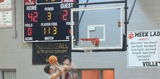 PREP BASKETBALL: Addison advances to area tournament title game with 62-34 win over Sumiton Christian