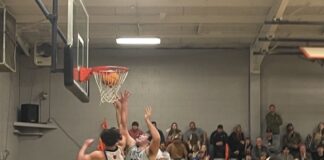 PREP BASKETBALL: Meek edges Addison 71-64 to claim area title