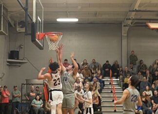 PREP BASKETBALL: Meek edges Addison 71-64 to claim area title