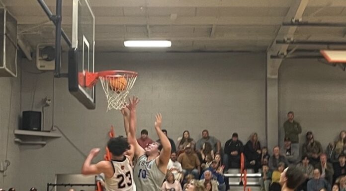 PREP BASKETBALL: Meek edges Addison 71-64 to claim area title