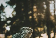 ‘The grief just comes in waves’