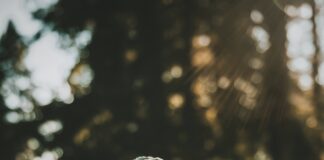 ‘The grief just comes in waves’