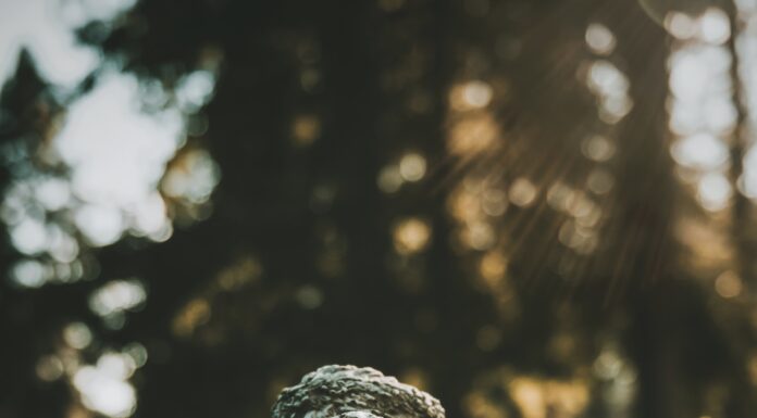 ‘The grief just comes in waves’