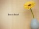 Obituary: Brent Pearl