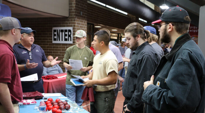 Career fairs March 7 and March 9 at Wallace State