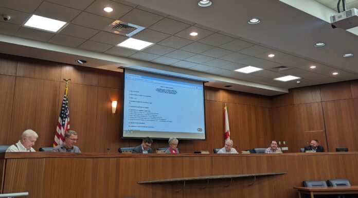 Cullman City Council talks PALS cleanup, WildWater