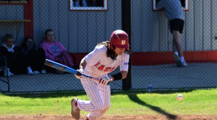 PREP BASEBALL: Vinemont drops home matchup with Falkville 10-5