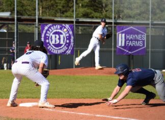 PREP BASEBALL: Fairview falls to Oneonta at home 13-6