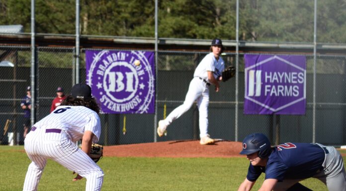 PREP BASEBALL: Fairview falls to Oneonta at home 13-6