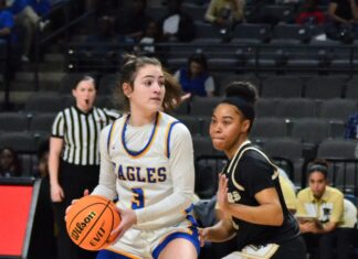 PREP BASKETBALL: ‘We came together as a family’: Cold Springs’ Maci Brown recaps junior season