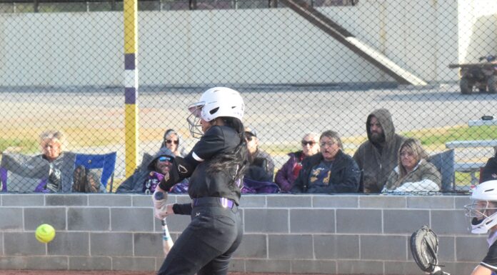 PREP SOFTBALL: Lady Aggies down Cold Springs 9-4