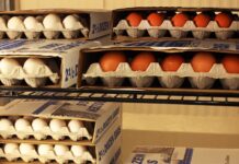 The truth behind eggcessively expensive eggs