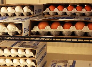 The truth behind eggcessively expensive eggs