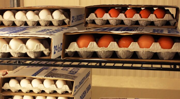 The truth behind eggcessively expensive eggs