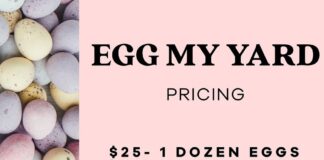 Hope Horses holding ‘Egg My Yard’ fundraiser