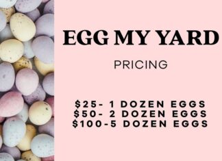 Hope Horses holding ‘Egg My Yard’ fundraiser