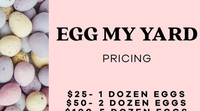 Hope Horses holding ‘Egg My Yard’ fundraiser