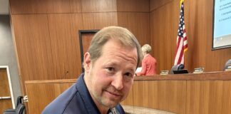 City appoints Sullins to full planning commission term