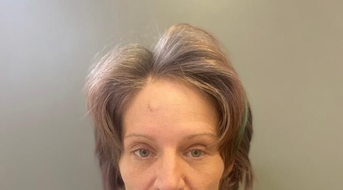 Hartselle woman stabs man, kills son in early morning attack