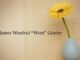 Obituary: James Wenfred “Went” Gunter