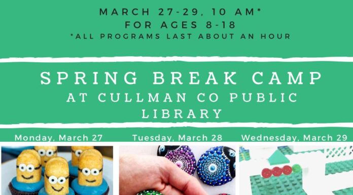 Library hosting Spring Break Camp March 27-29