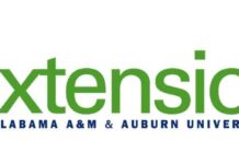 Pollen: a sticky situation for the better