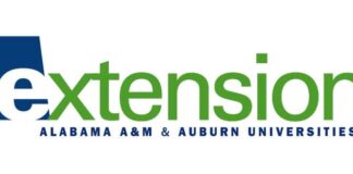 Pollen: a sticky situation for the better