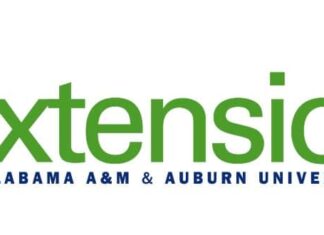 Pollen: a sticky situation for the better