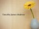 Obituary: Timothy James Mabrey