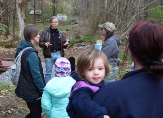 Sportsman Lake gardeners applying for arboretum accreditation