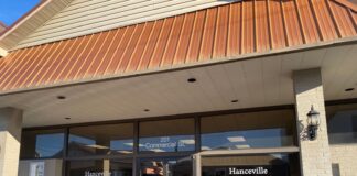 Book sale at Hanceville Public Library March 18