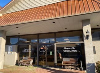 Book sale at Hanceville Public Library March 18