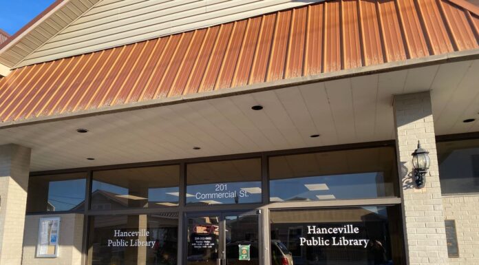 Book sale at Hanceville Public Library March 18